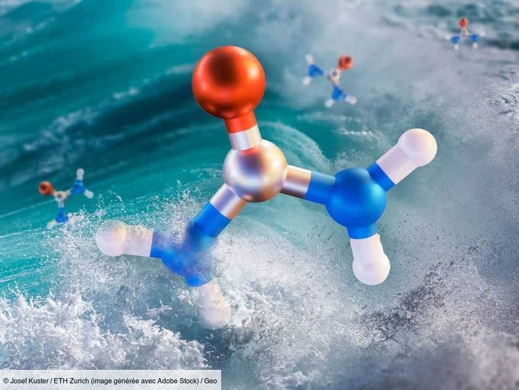 L'un des ingrédients clés de la vie serait né sans apport d'énergie, à la surface des gouttelettes d'eau