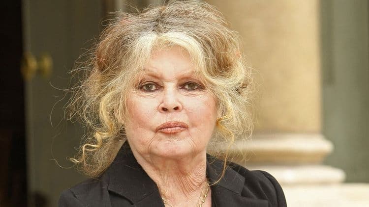 Brigitte Bardot condamnée par la justice : "Je finis toujours par..."