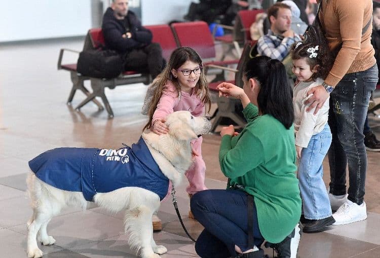 Peur de l'avion ? L'aéroport de Skopje a tout prévu ... même un chien !
