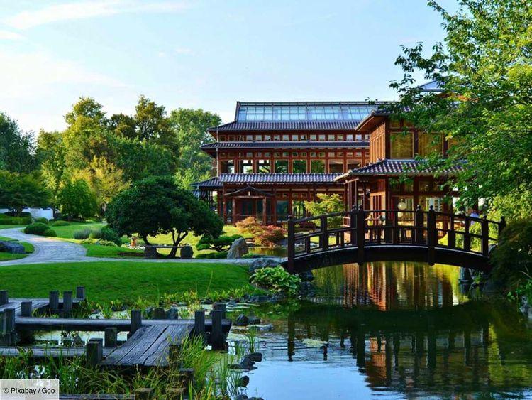 Jardin japonais: ce que l'archipel nippon a à nous apprendre