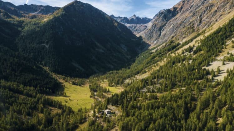 Terrifié par le Covid, il cache ses enfants de 9 et 6 ans, analphabètes et portant des couches, dans une forêt !