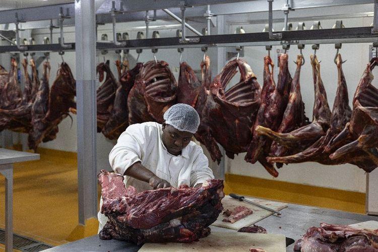 Afrique du Sud: appel aux amateurs de viande de zèbre et de gnou