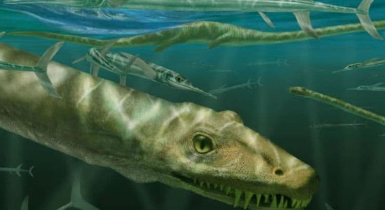 Un fossile de “dragon chinois” vieux de 240 millions d’années découvert en Chine