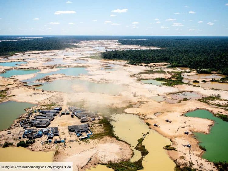 Le Chiffre de GEO: 60 degrés Celsius, la température des sols essorés par l'orpaillage en Amazonie