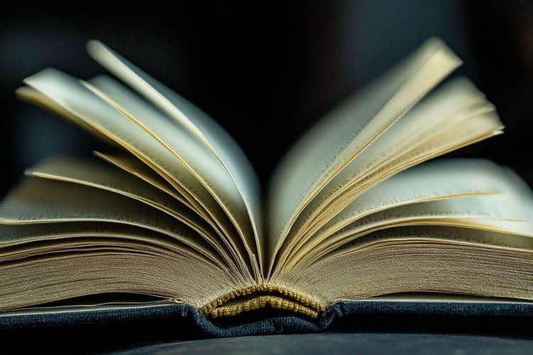 Le plus long roman de Stephen King va enfin être adapté au cinéma