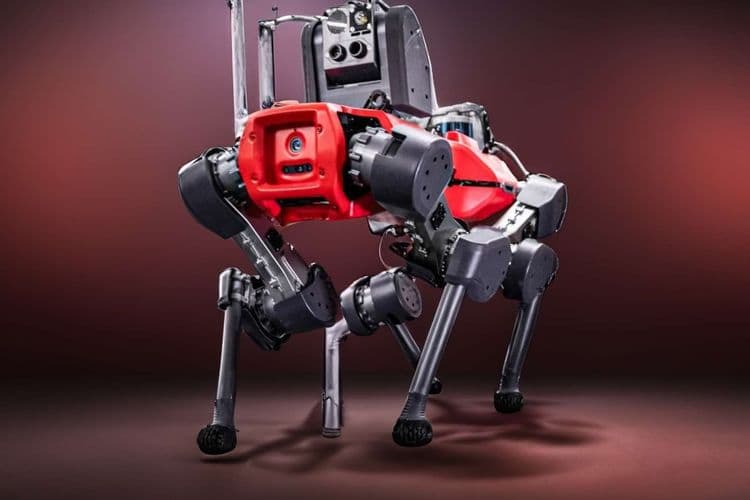 Le robot-chien développé par ces ingénieurs se comporte comme un chat !