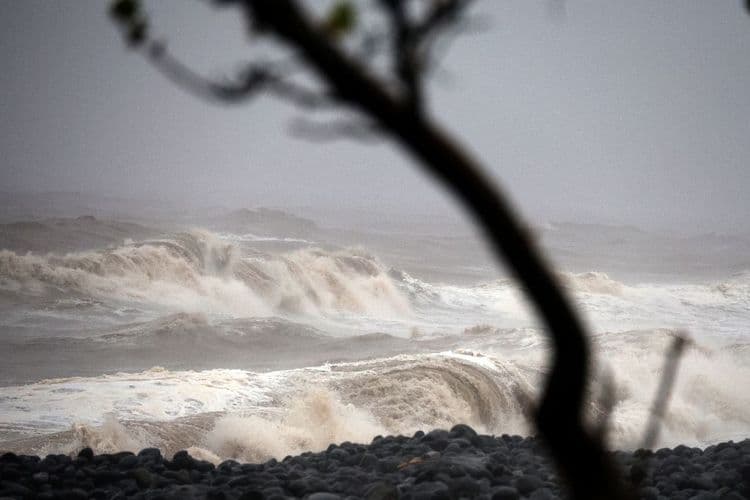 À La Réunion, les coraux lourdement endommagés par le cyclone Garance