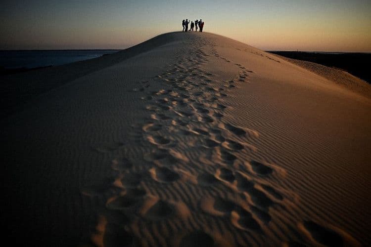Tourisme ou nature: le dilemme brûlant de la dune du Pilat après les incendies
