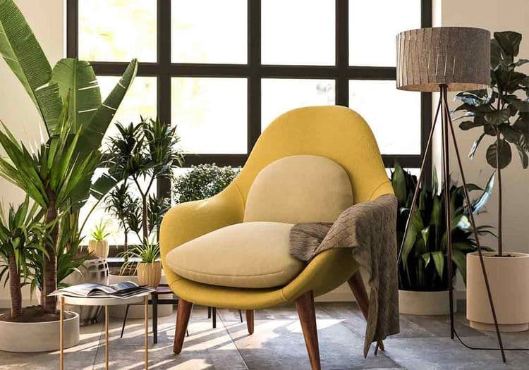 Plantes d'intérieur : comment les entretenir en automne ?