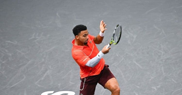 Bercy: Zverev a eu raison de Fils