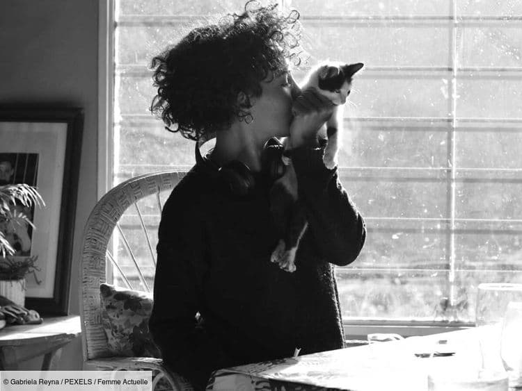 Qu’a t-on le droit de faire avec les cendres de nos animaux de compagnie ?