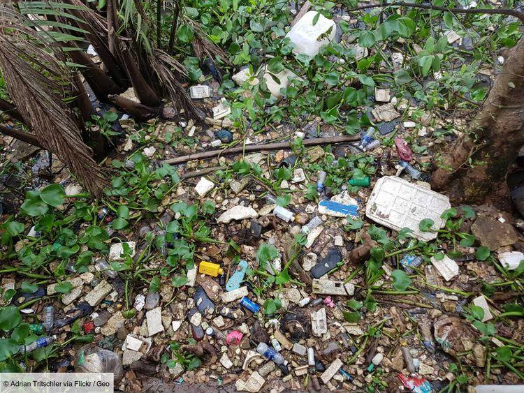 Pollution plastique: cette "plastisphère" qui menace les écosystèmes d'eau douce