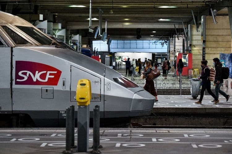 Votre chat est sous un TGV? La SNCF lui donne désormais 20 minutes