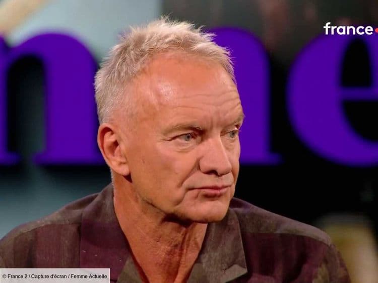 "Cette dame a changé ma vie" : Sting révèle à Laurent Delahousse les coulisses françaises de son célèbre tube Roxanne