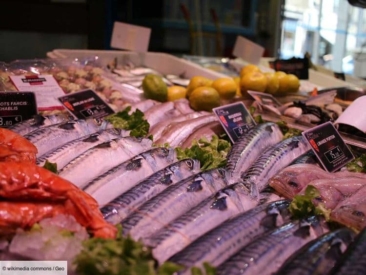 Un calvaire extrême de 10 minutes: que ressentent les poissons une fois pêchés?