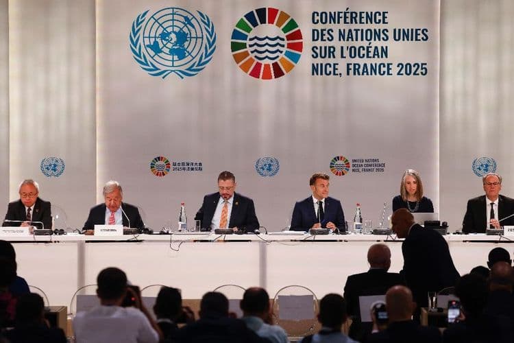 La résistance mondiale s'organise contre un "Far West" dans les océans