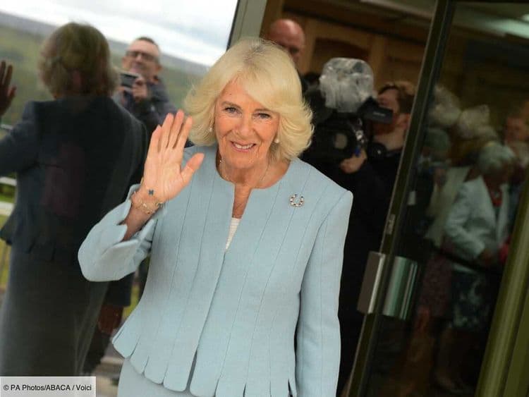 Le roi Charles III en froid avec Harry : la reine Camilla a pris une décision ferme depuis le début de leur brouille
