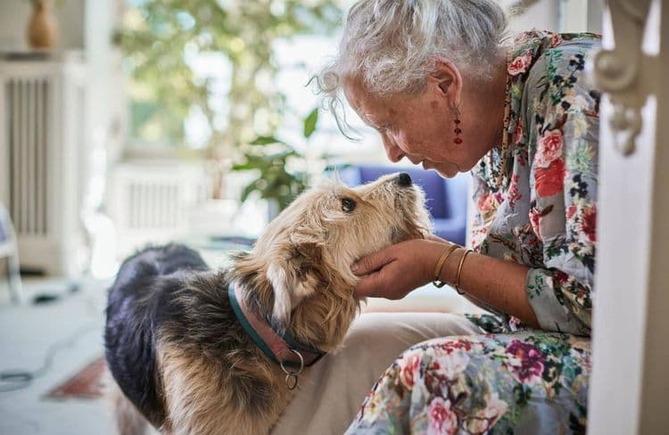 Pourquoi avoir un chien ou un chat est une excellente chose pour votre santé ?