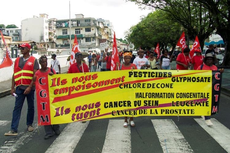 Chlordécone aux Antilles: pourvoi de l'Etat contre sa condamnation