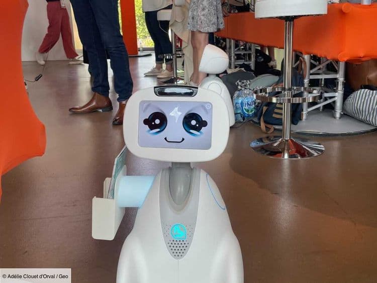 Buddy, le petit robot au grand cœur: une précieuse compagnie pour séniors et enfants en difficulté