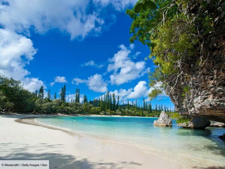 L'eau est turquoise, le sable est blanc... Alors pourquoi l'île des Pins meurt à petit feu?