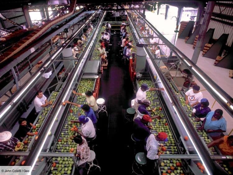 Danone, Nestlé, PepsiCo... Ces entreprises de l'agroalimentaire accusées de greenwashing