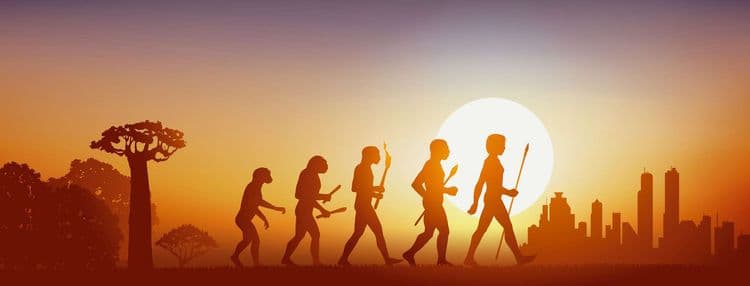 Les scientifiques ont découvert comment nos ancêtres ont perdu leur queue