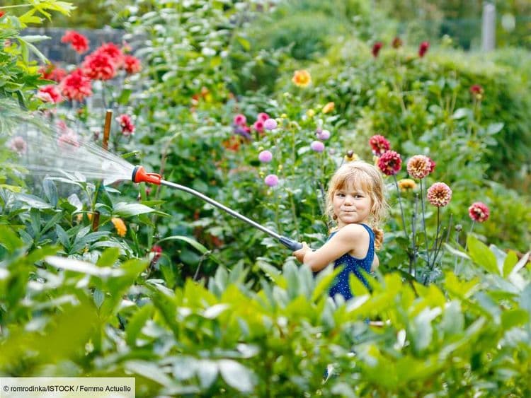 Vague de chaleur : faut-il arroser ses plantes ou son jardin tous les jours quand il fait chaud ?