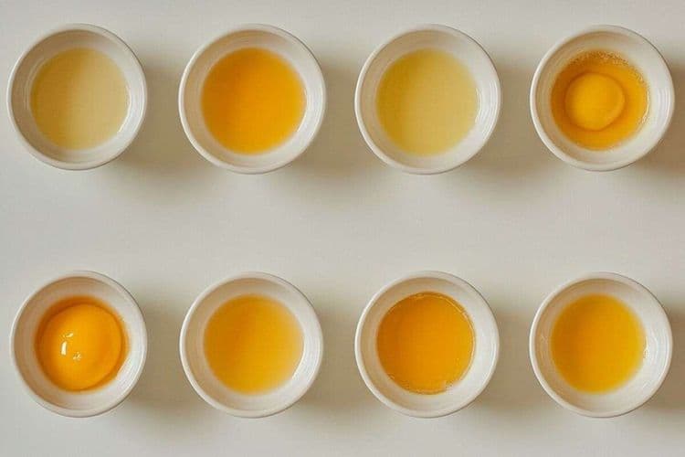 Mayonnaise tournée : découvrez la méthode express pour la récupérer facilement