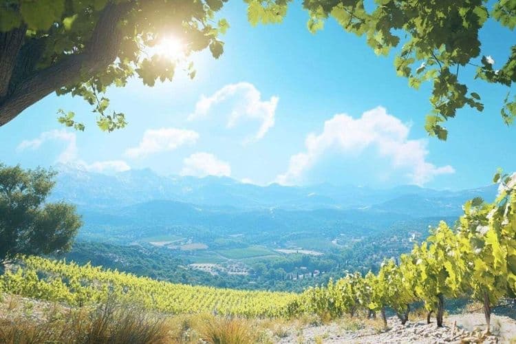 Vague de chaleur attendue pour l’Ascension : jusqu’à 36°C et des records possibles, découvrez les zones les plus touchées