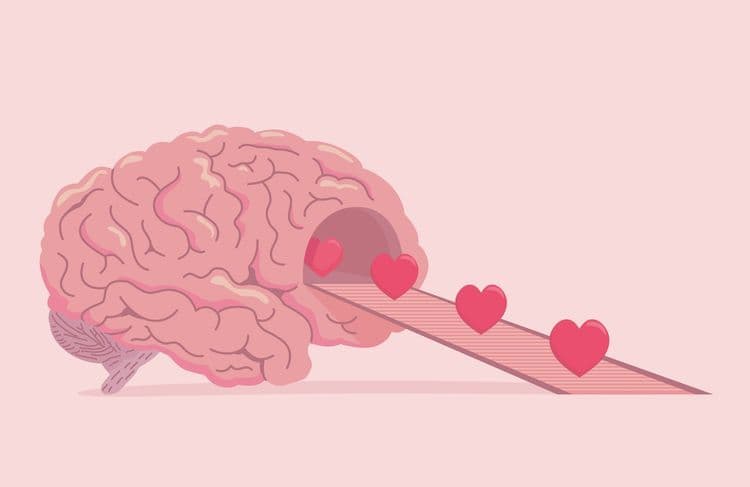 Ocytocine : cette récente découverte sur l’hormone de l’amour