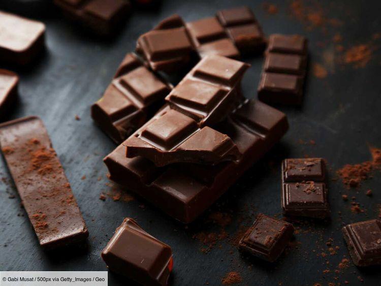 Deux recettes de chocolat du futur pour protéger l'humain et la forêt : laquelle vous fait saliver ?