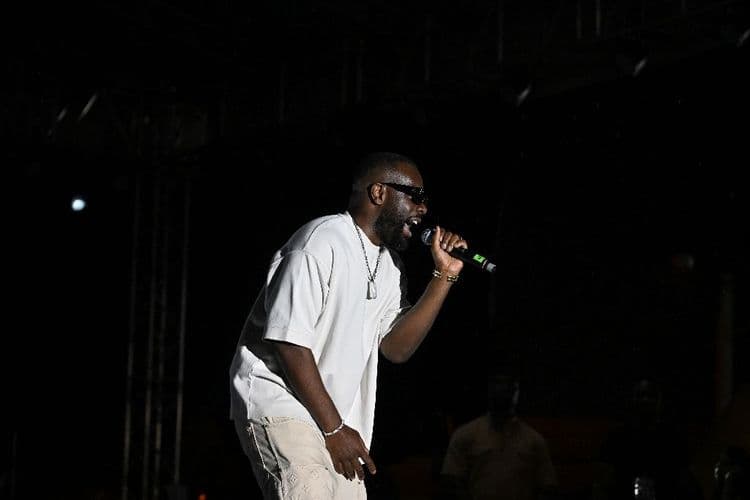 Concert "Solidarité Congo" à Paris: pluie de stars et discours engagés attendus