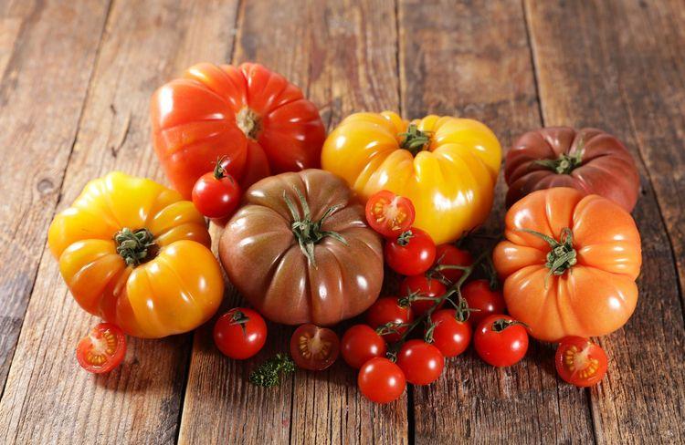 Tomates rouges, noires ou jaunes : quelle différence ?