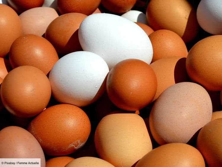 Beige, blanc, rose... Savez-vous pourquoi les coquilles des œufs sont de différentes couleurs ?