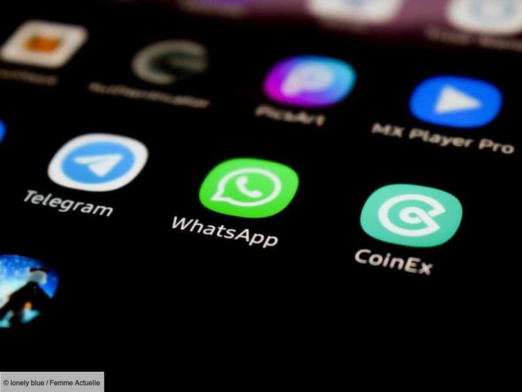 Voici comment connecter votre compte WhatsApp sur plusieurs appareils en même temps