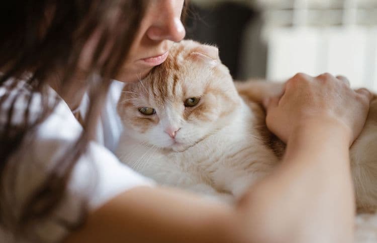 Animaux de compagnie : ce que votre style d’attachement révèle de votre santé mentale