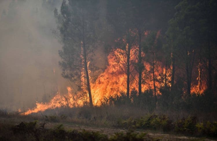 Un barbecue mal éteint provoque un incendie sur 400 hectares dans l’Aude