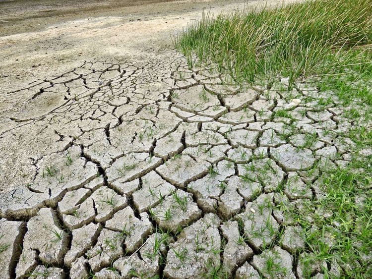Les pluies intenses ont-elles mis fin à la sécheresse dans le sud ?