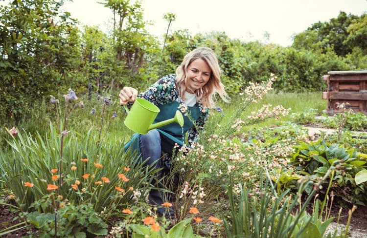 Comment se mettre au jardin quand on n’a pas la main verte ?