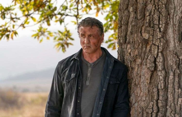 Un film sur les origines de Rambo en préparation : Sylvester Stallone sera-t-il de la partie ?