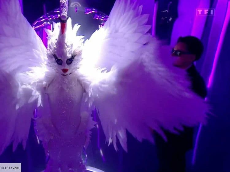 Mask Singer : quelle personnalité a été éliminée ce vendredi 20 juin sur TF1 ?