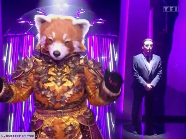 Mask Singer : quelle personnalité a été découverte ce vendredi 30 mai sur TF1 ?