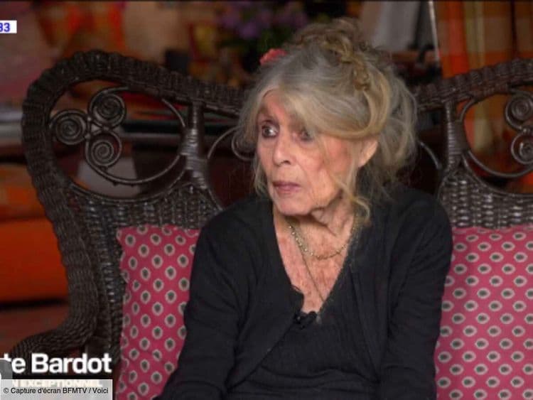 "Ils ne peuvent plus vivre" : Brigitte Bardot apporte un soutien franc à Nicolas Bedos et Gérard Depardieu (ZAPTV)