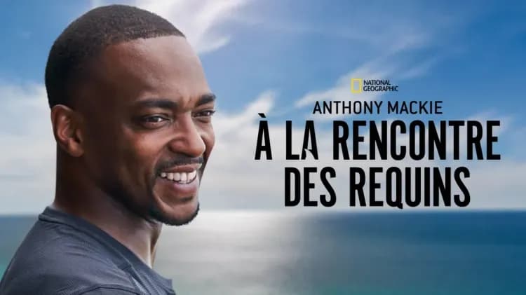 Les nouveautés films du mois de juillet sur Disney+