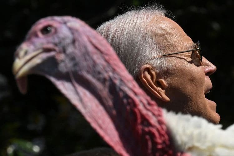 Pour la dernière fois, Joe Biden gracie deux dindes avant Thanksgiving