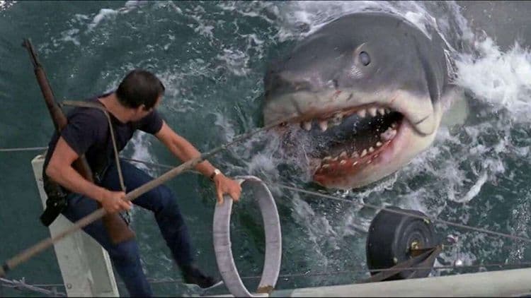 Ce que Spielberg a brillamment écarté du roman d’origine dans son film « Les Dents de la mer »