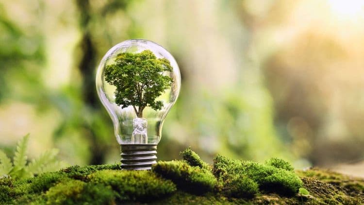 Prix, label... Les offres d'électricité et de gaz vertes, greenwashing ou vraiment écolos ?