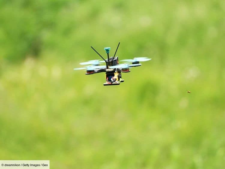 Un drone super furtif: la Chine dévoile un aéronef de renseignement de la taille d'un moustique