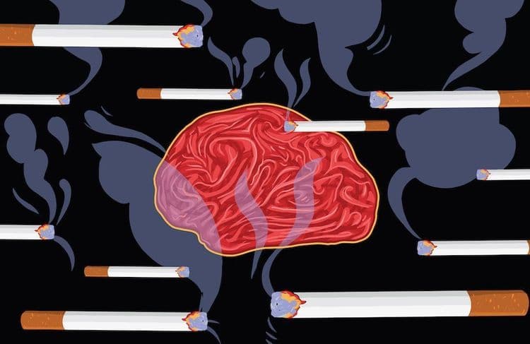 Alzheimer, apprentissage, souvenirs : quels sont les effets du tabac sur la mémoire ?